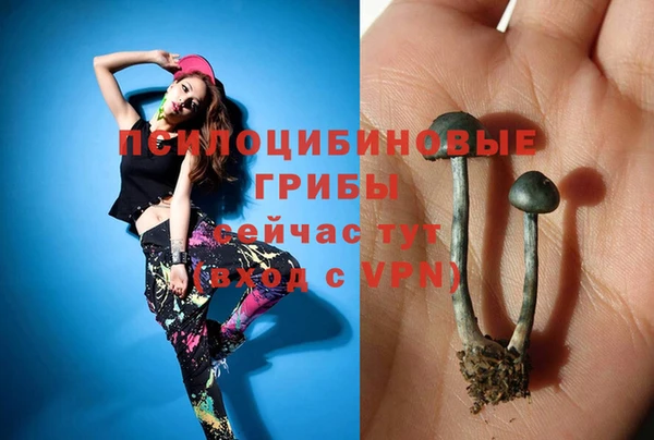 дживик Алзамай